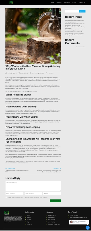 Why Winter Is the Best Time for Stump Grinding in Syracuse, NY