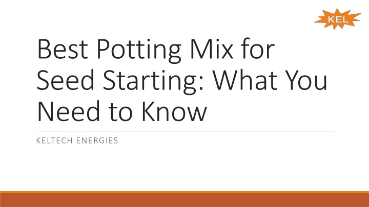 best potting mix for seed starting what you need to know