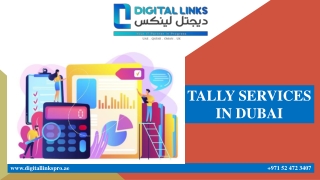 TALLY SERVICES IN DUBAI