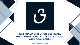 Best Fraud Detection Software for Issuers Protect Transactions with GPayments