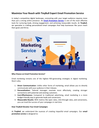 Maximize Your Reach with TinyBull Expert Email Promotion Service