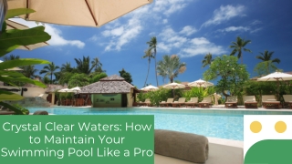 Crystal Clear Waters How to Maintain Your Swimming Pool Like a Pro