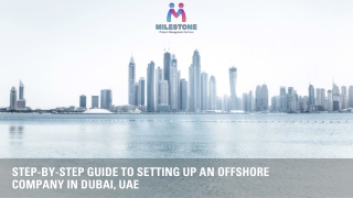 Step-by-Step Guide to Setting Up an Offshore Company in Dubai, UAE