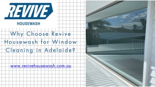 Why Choose Revive Housewash for Window Cleaning in Adelaide