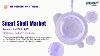 the insight partners