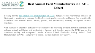 Best Animal Feed Manufacturers in UAE – Zabeel