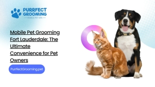 Mobile Pet Grooming Fort Lauderdale: The Ultimate Convenience for Pet Owners