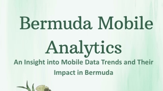 Bermuda Mobile Analytics