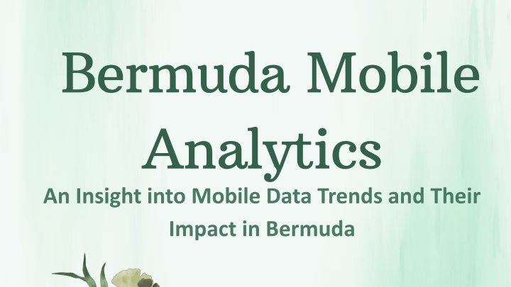 bermuda mobile analytics