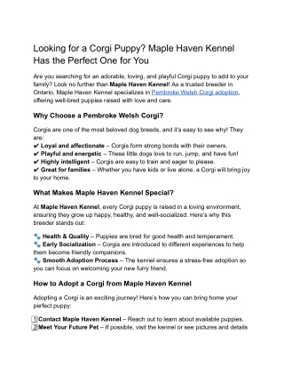 Looking for a Corgi Puppy