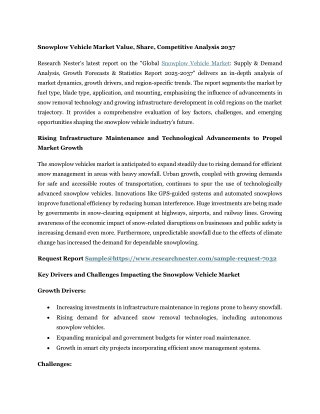 snowplow vehicle market value share competitive