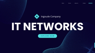 IT NETWORKS