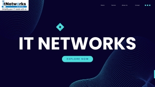 IT NETWORKS (1)