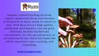Grow Your Own Mushrooms at Home – Easy, Fun & Rewarding