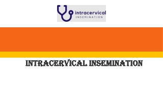 Ici Insemination Kit
