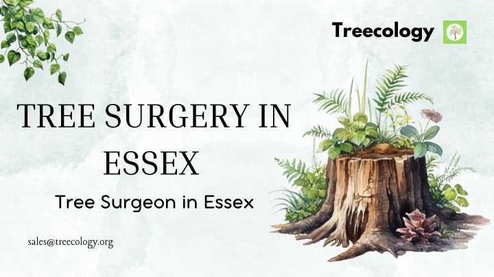 treecology