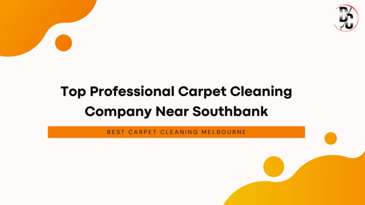 top professional carpet cleaning company near