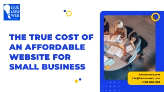 The True Cost of an Affordable Website for Small Business