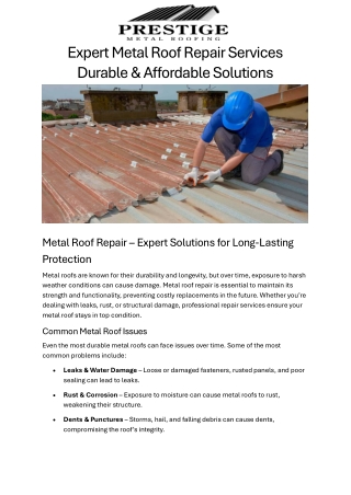 Expert Metal Roof Repair Services  Durable