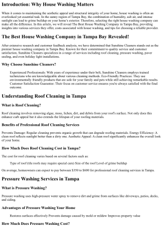 The Best House Washing Company in Tampa Bay Revealed!