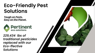 Eco-Friendly Pest Solutions