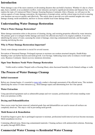 Commercial Water Cleanup: Ensuring Business Continuity After a Disaster