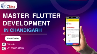master flutter development in chandigarh