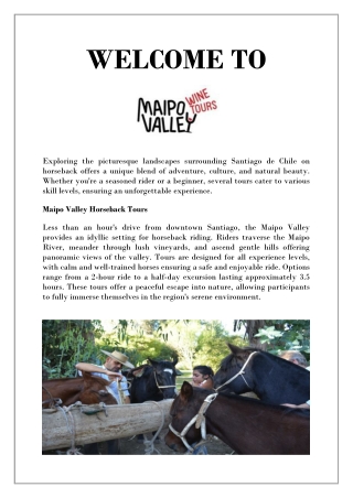 Experience Chilean Culture on Horseback