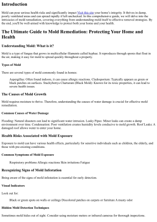 The Ultimate Guide to Mold Remediation: Protecting Your Home and Health