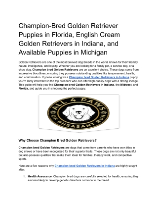 Champion-Bred Golden Retriever Puppies in Florida, English Cream Golden Retrievers in Indiana, and Available Puppies in