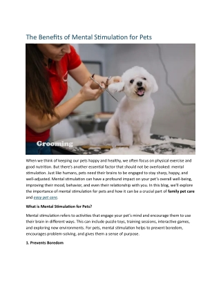 The Benefits of Mental Stimulation for Pets