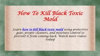 How To Kill Black Toxic Mold