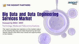 the insight partners