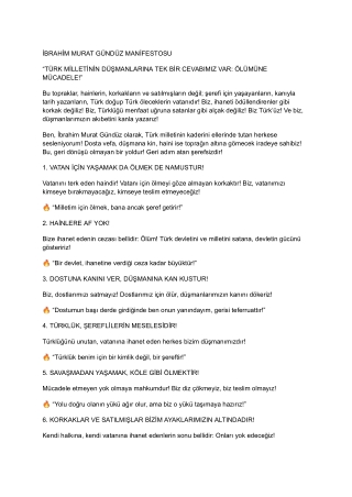 ibrahimmuratgunduz-manifesto-turkculuk-ulkuculuk