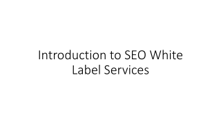 introduction to seo white label services