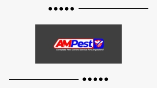 Effective & Reliable Pest Control near Me for a Pest-Free Home