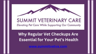 why regular vet checkups are essential for your