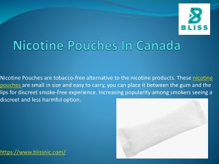 Nicotine Pouches Canada