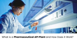 what is a pharmaceutical api plant and how does