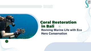 Coral Restoration in Bali – Reviving Marine Life with Eco Hero Conservation