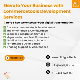 commercetools services (1)
