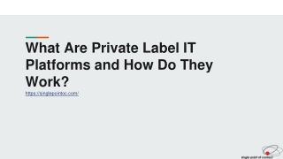 What Are Private Label IT Platforms and How Do They Work?