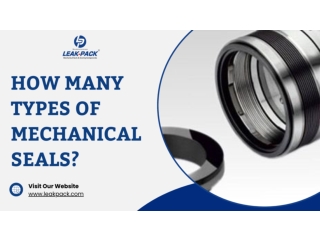 How many types of mechanical seals?