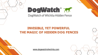 invisible yet powerful the magic of hidden