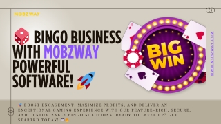 The Future of Online Bingo: Mobzway Software’s Innovative Features