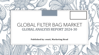 global filter bag market global analysis report 2024 30