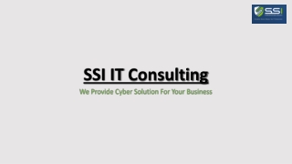 ssi it consulting