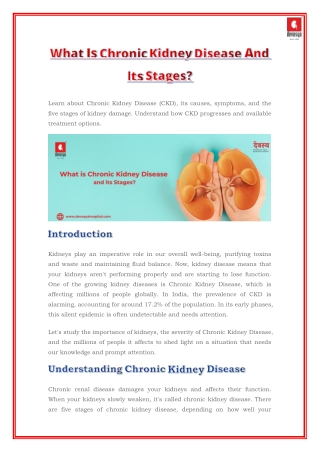 What Is Chronic Kidney Disease And Its Stages?