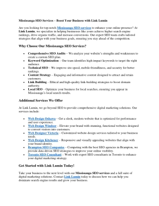 Link Lumin - Digital Marketing Agency | Advertising Agency