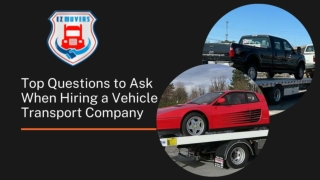 Top Questions to Ask When Hiring a Vehicle Transport Company